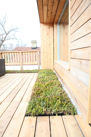 Image of a porch on a house with a small herb garden built in.