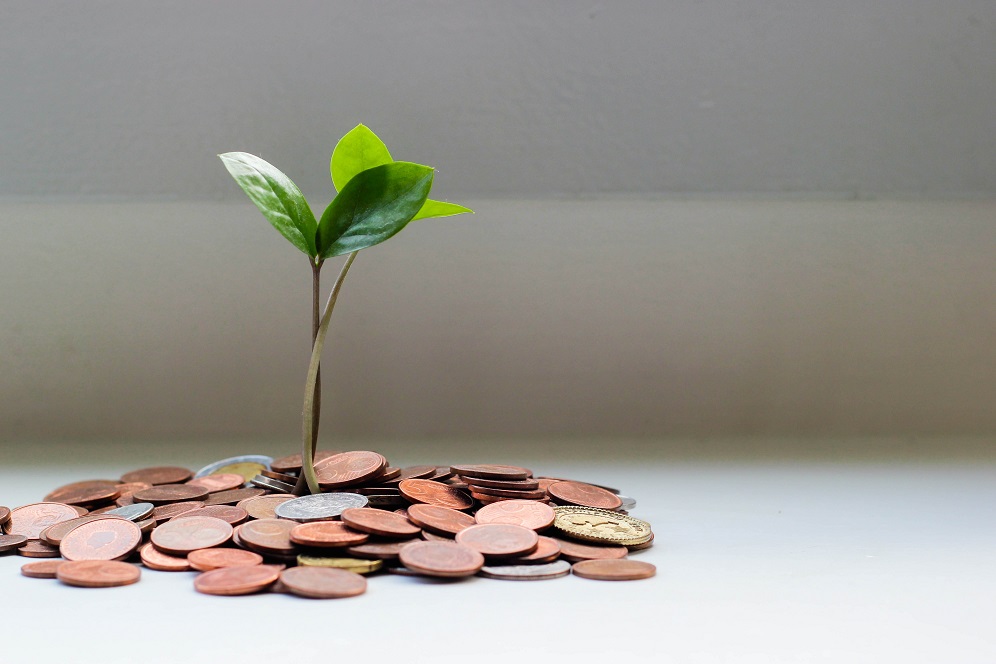 Image of a small plant seemingly growing out of a pile of coins.