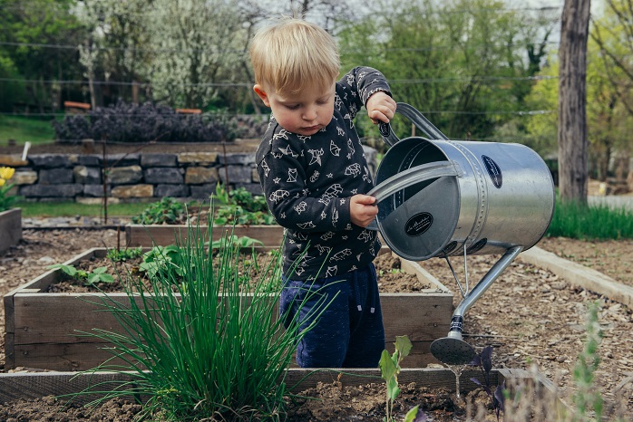 Image of a small child using a tin watering can to water plants in a backyard garden.