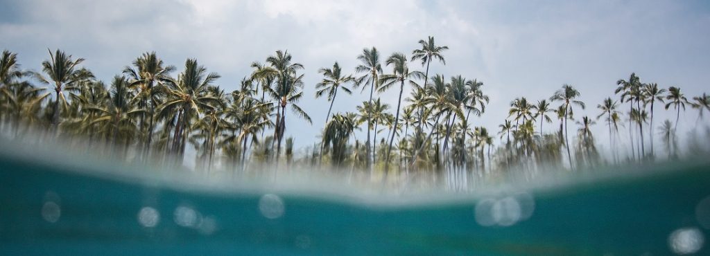 Partial underwater image of a beach in Hawaii with lots of palm trees in the background.