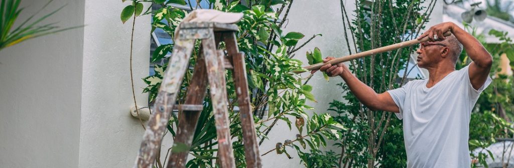 Image of a person painting the outside of a house.