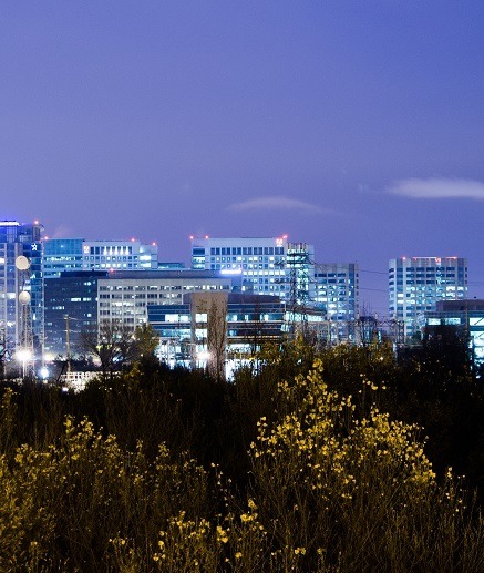 Image of the San Jose skyline at dawn.