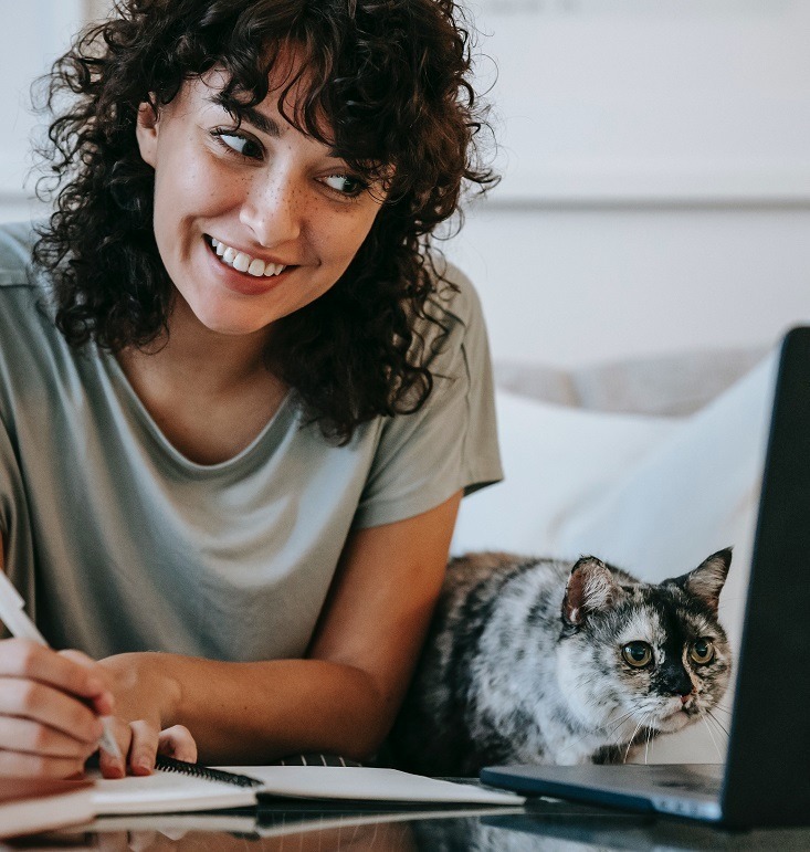 A person and their cat looking at a computer searching for an online real estate agent.