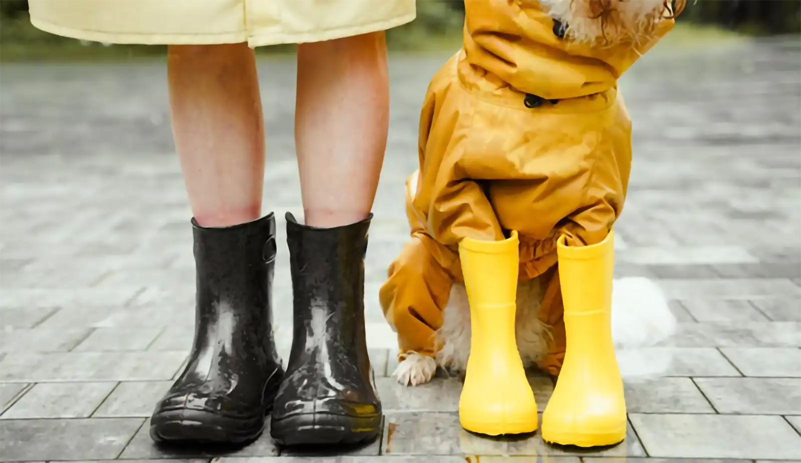 Could Climate Change… Your Credit Score?