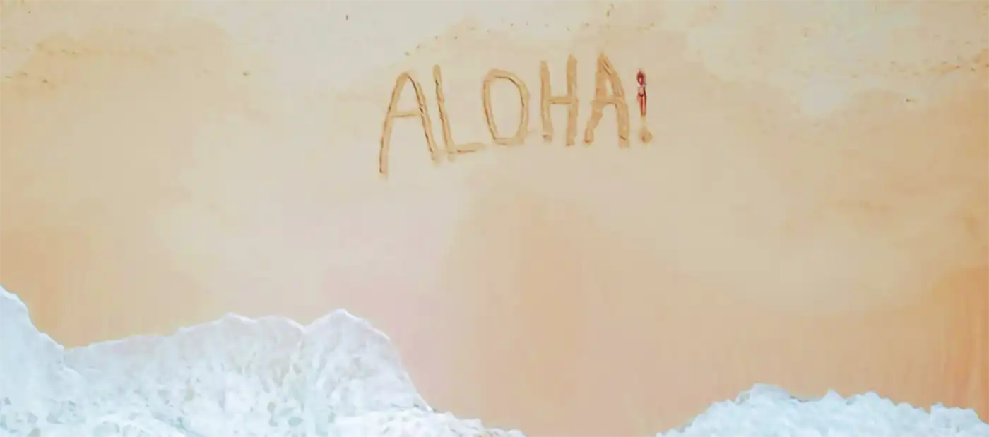 Deeds Reserved for Affordability: Incentives for Home Buyers to Live in Hawaii