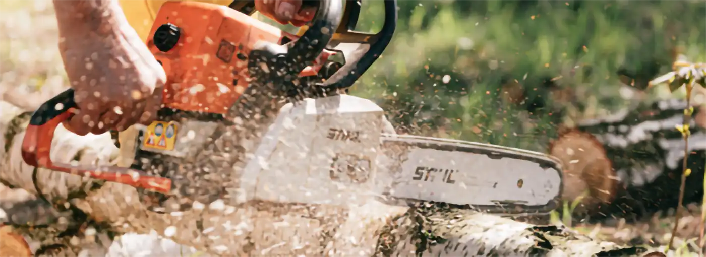 Deed Holder Rights: What to Do If a Neighbor Damages or Destroys Your Tree