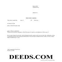 New Castle County Trustee Deed Form Page 1