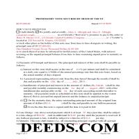 Delta County Completed Example of the Promissory Note Document Page 1