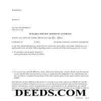 Liberty County Special Power of Attorney Form for the Purchase of Property Page 1