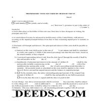 Promissory Note Form Page 1